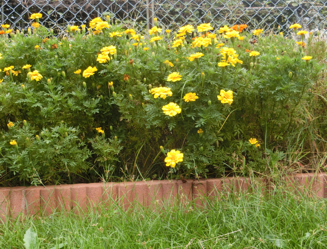 Screenshot 2025-10-07 12.22.42