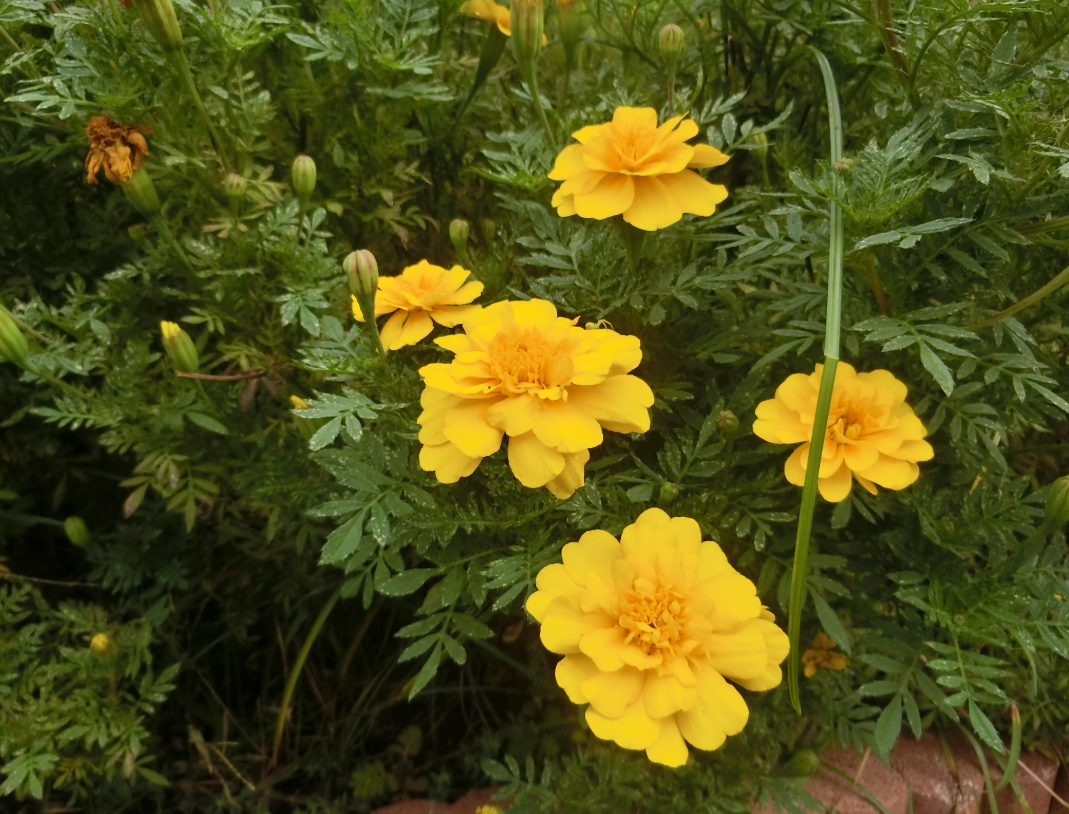 Screenshot 2025-10-07 12.23.15