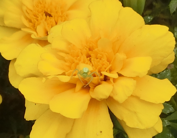 Screenshot 2025-10-07 12.24.25