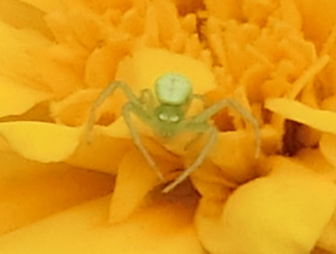 Screenshot 2025-10-07 12.24.48