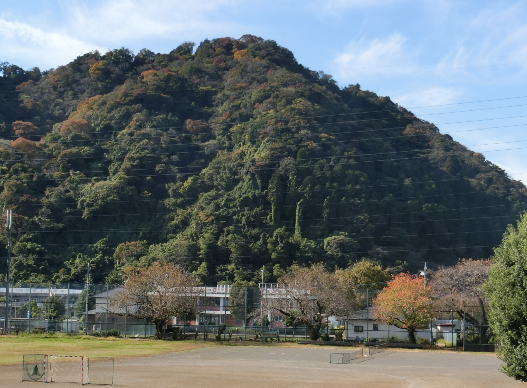 Screenshot 2025-11-04 11.50.16