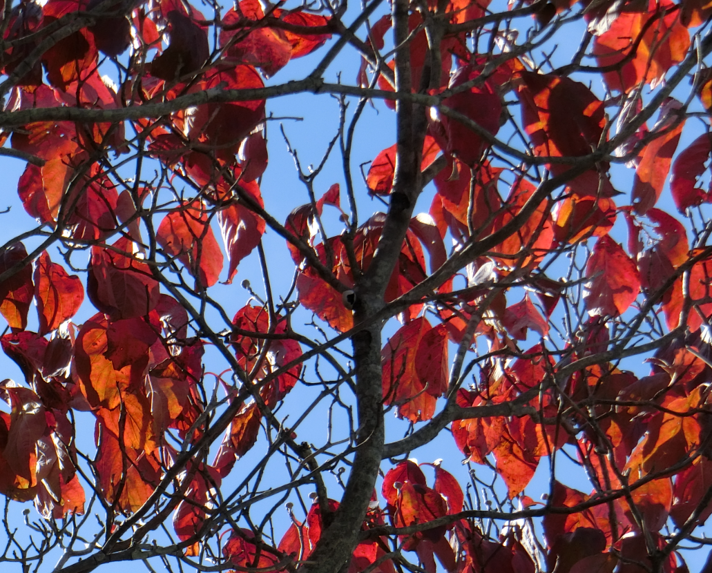 Screenshot 2025-11-04 11.53.07