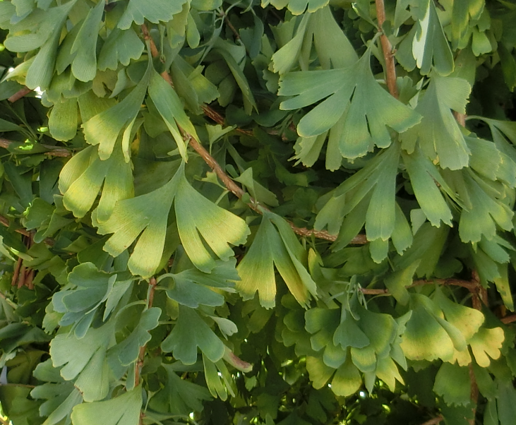 Screenshot 2025-11-04 11.54.51