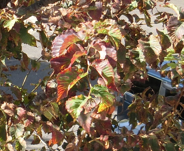 Screenshot 2025-11-04 11.58.54