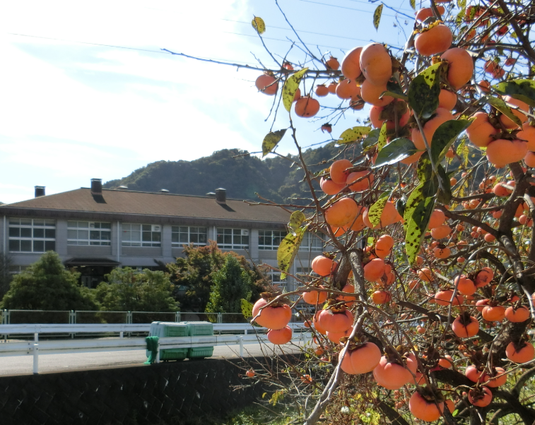 Screenshot 2025-11-04 12.01.05