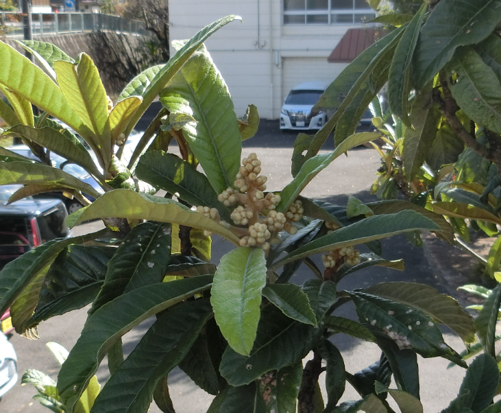 Screenshot 2025-11-04 11.55.21