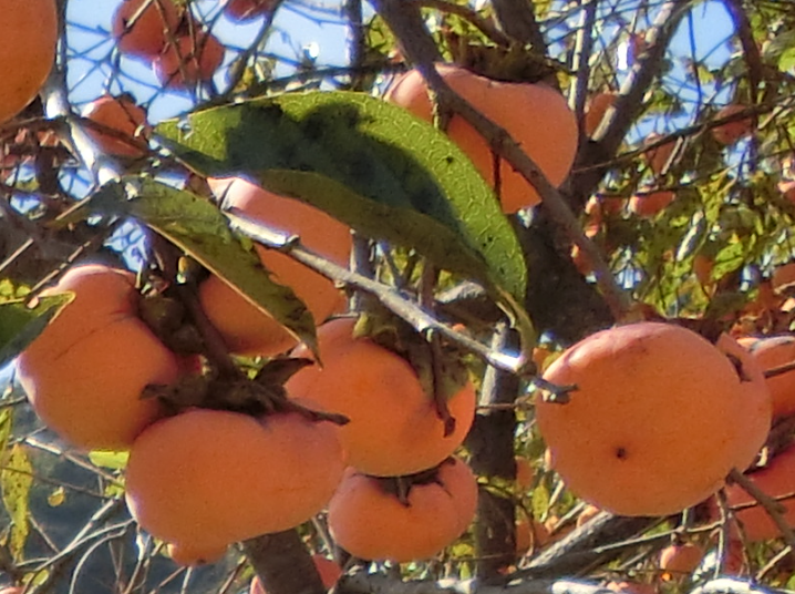 Screenshot 2025-11-04 13.23.49