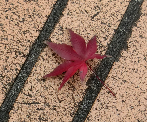 Screenshot 2025-11-13 14.51.50