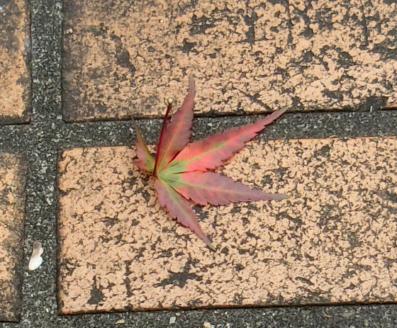 Screenshot 2025-11-13 14.52.12