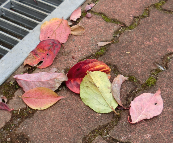 Screenshot 2025-11-13 14.53.01