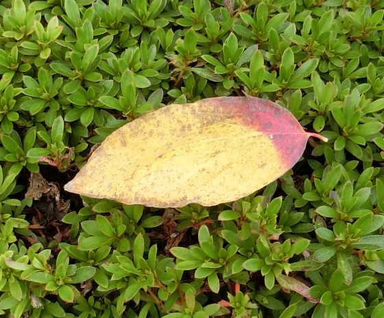 Screenshot 2025-11-13 14.53.49