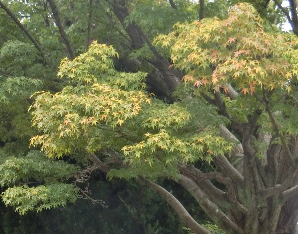 Screenshot 2025-11-13 14.54.34