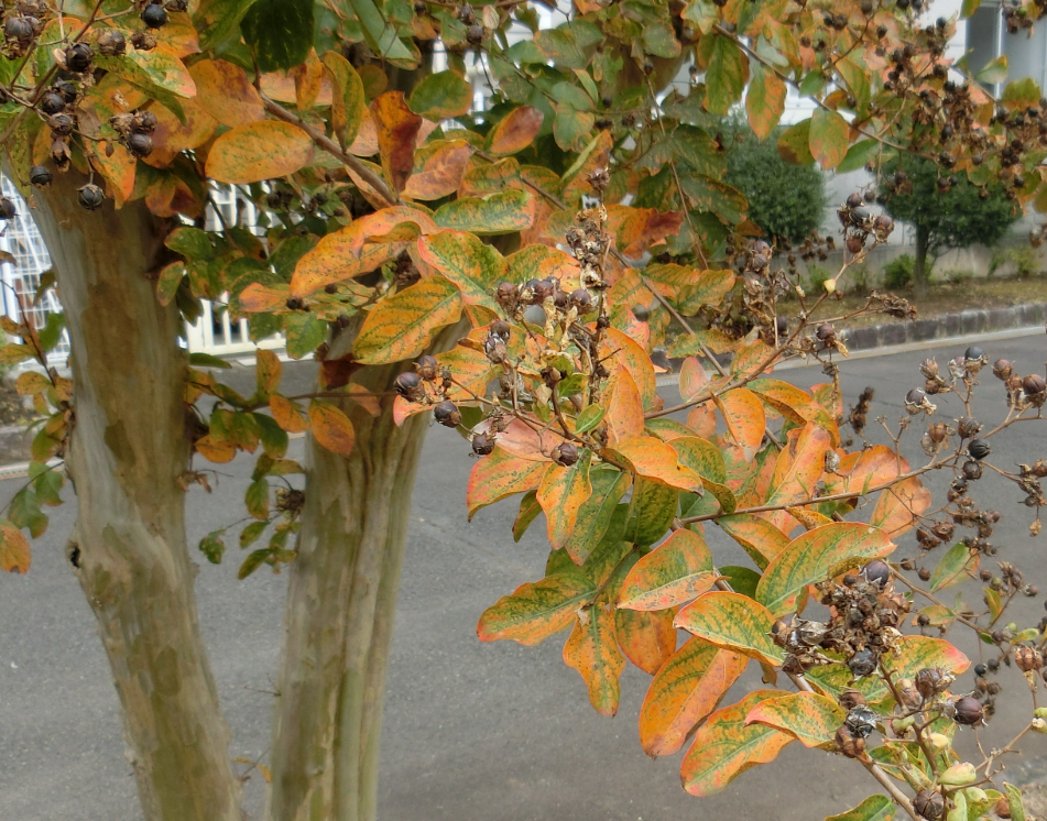 Screenshot 2025-11-13 14.57.09