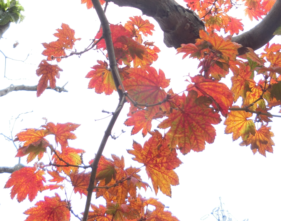 Screenshot 2025-11-13 14.58.00