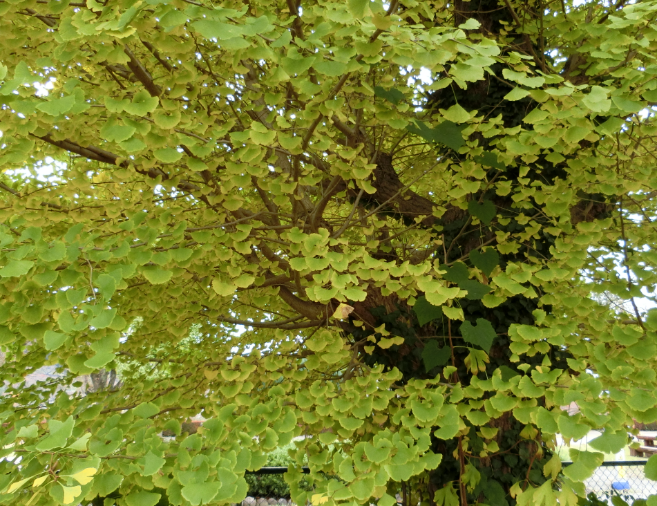 Screenshot 2025-11-13 15.00.38