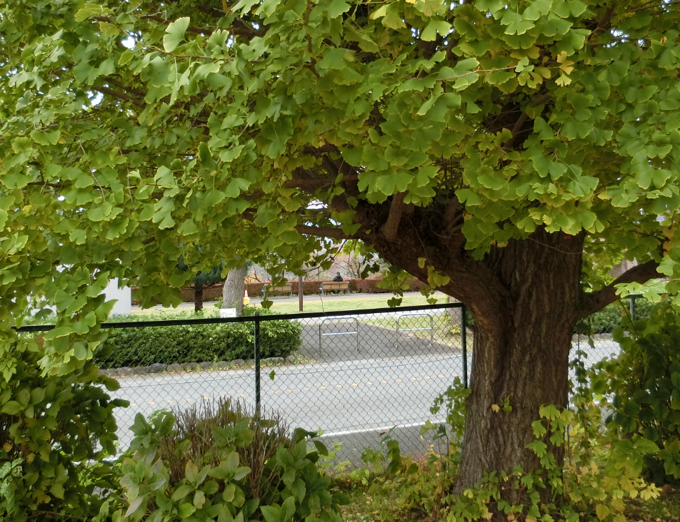 Screenshot 2025-11-13 15.01.21