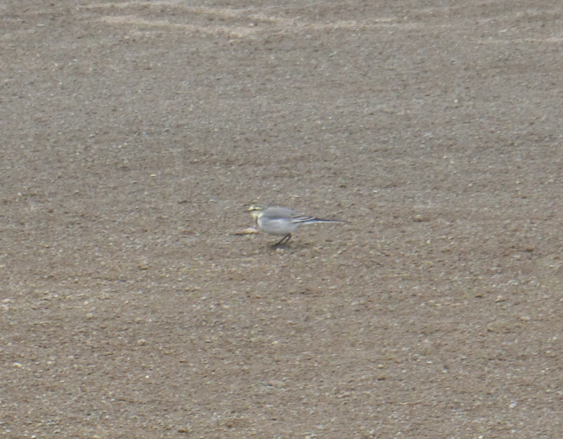 Screenshot 2025-11-13 15.04.20