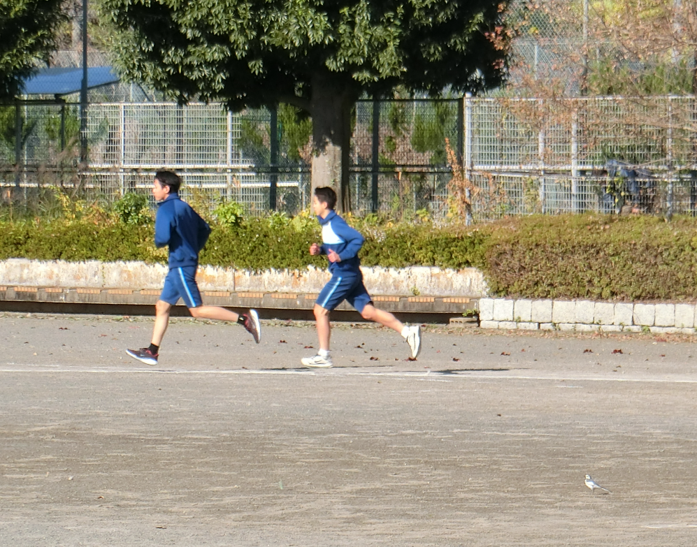 Screenshot 2025-11-14 10.10.25