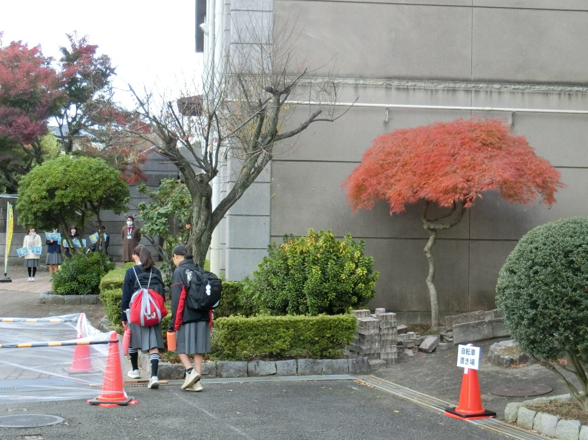 Screenshot 2025-11-19 09.37.18