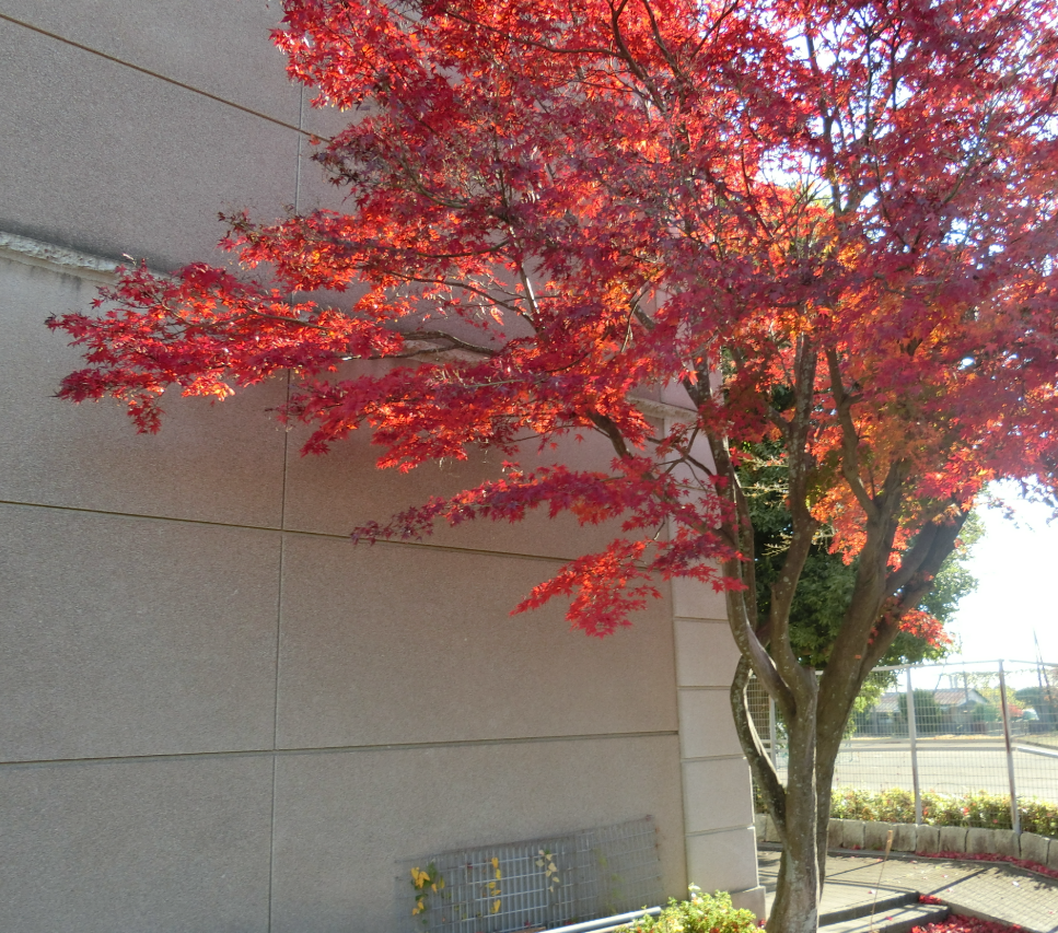 Screenshot 2025-11-27 10.58.59