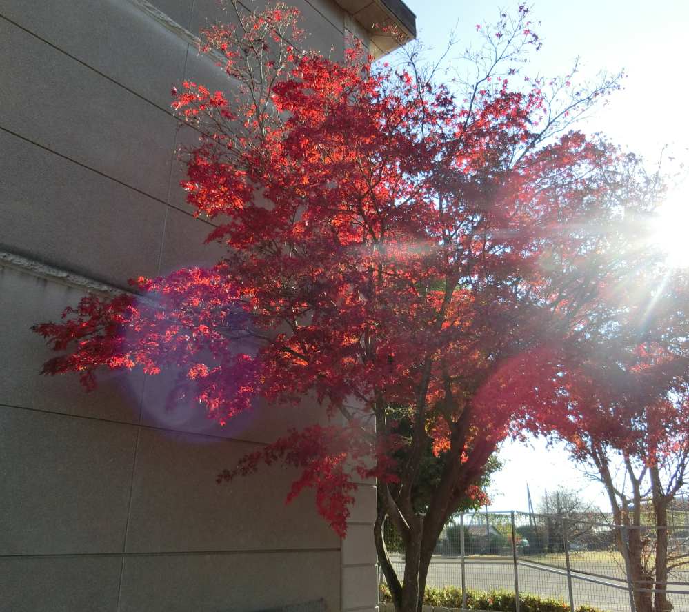 Screenshot 2025-11-27 11.00.05