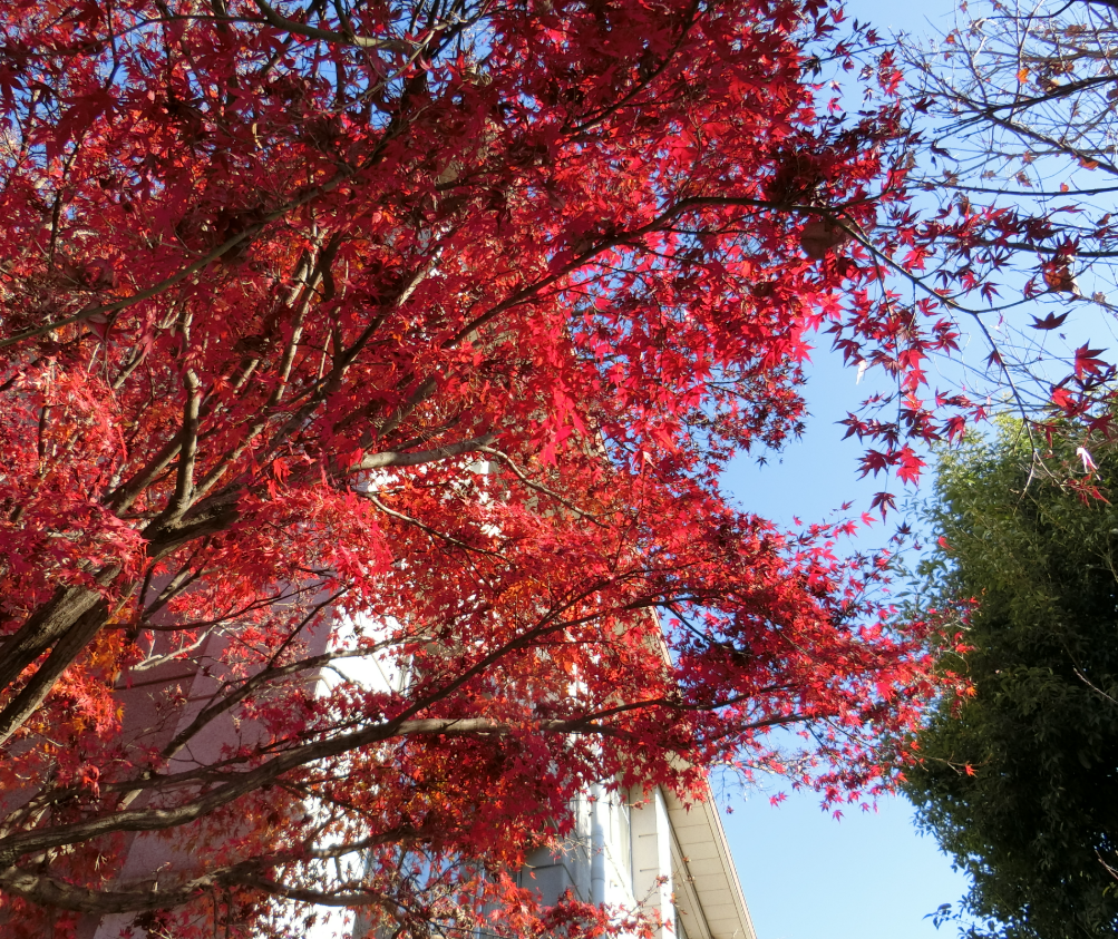 Screenshot 2025-11-27 11.01.13