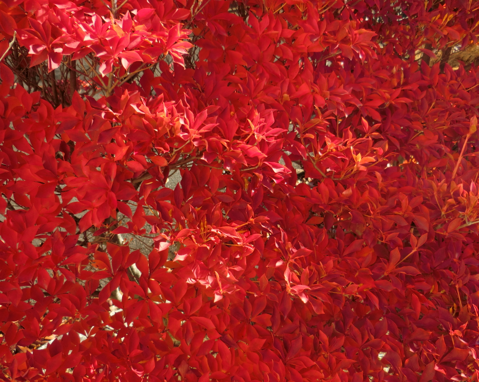 Screenshot 2025-11-27 11.10.33