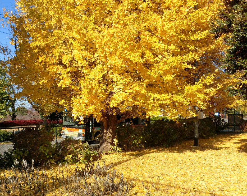 Screenshot 2025-11-27 11.12.35