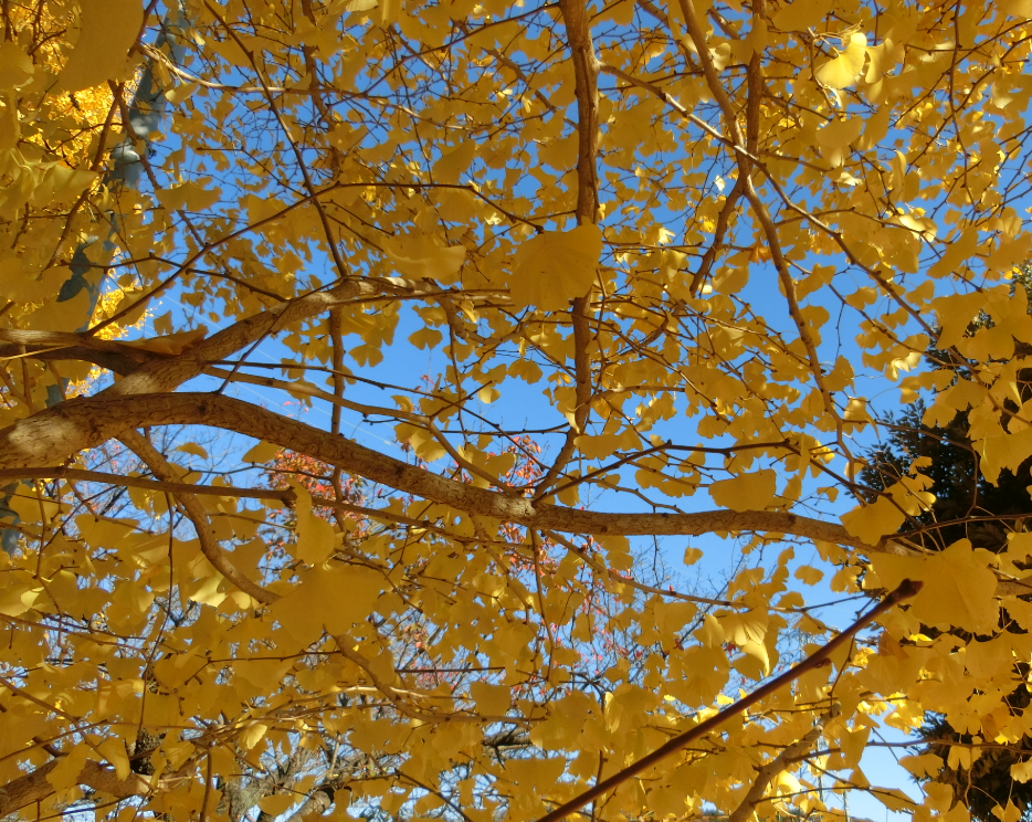 Screenshot 2025-11-27 11.09.28