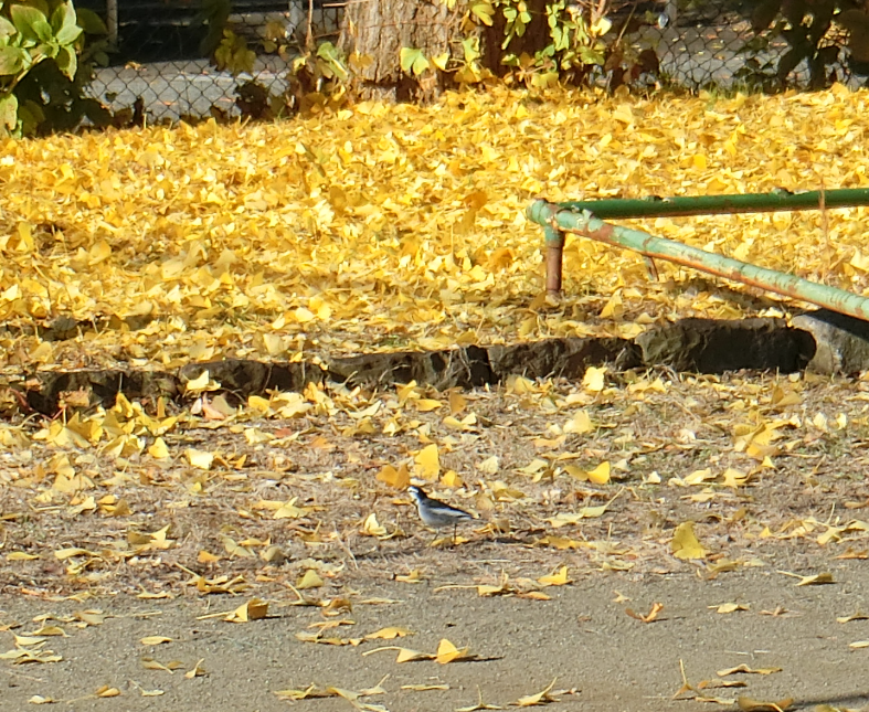 Screenshot 2025-11-27 11.03.50