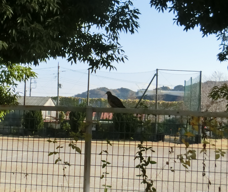 Screenshot 2025-11-28 14.34.19