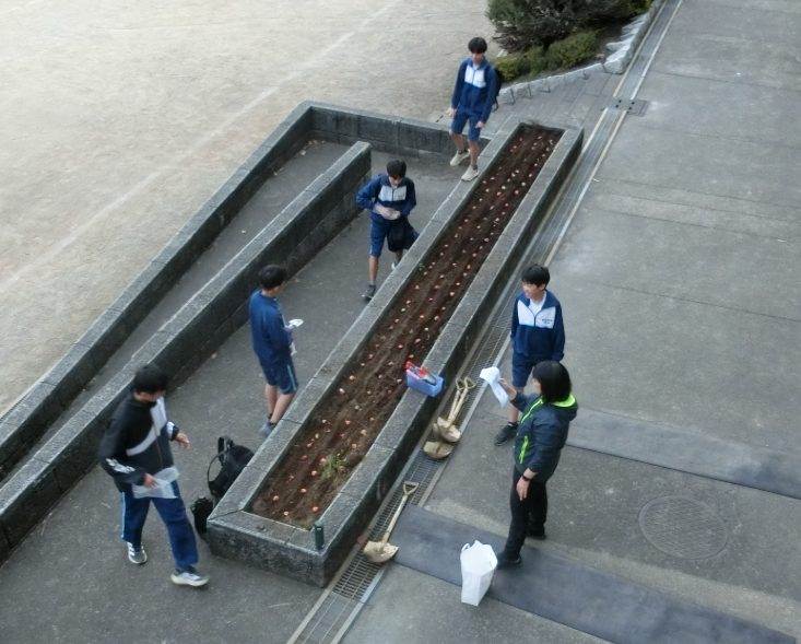 Screenshot 2025-12-02 16.25.50