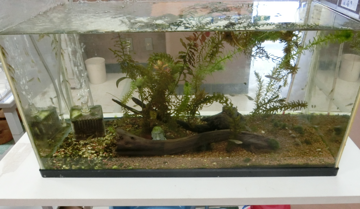 Screenshot 2025-12-02 16.43.30