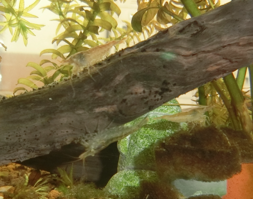 Screenshot 2025-12-02 16.48.24