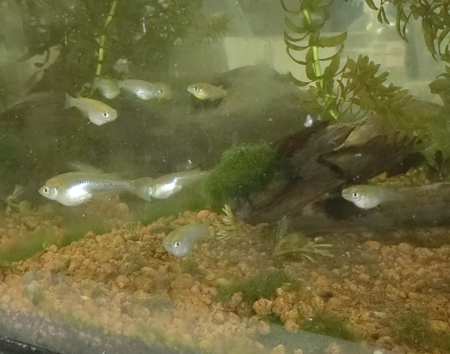 Screenshot 2025-12-02 16.50.12