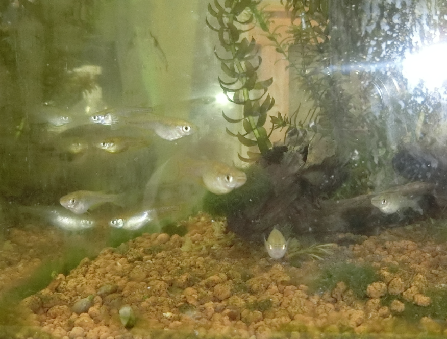 Screenshot 2025-12-02 16.51.04