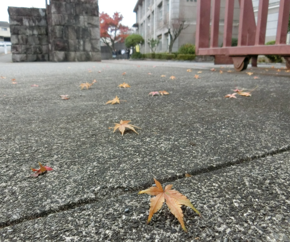 Screenshot 2025-12-03 13.21.09