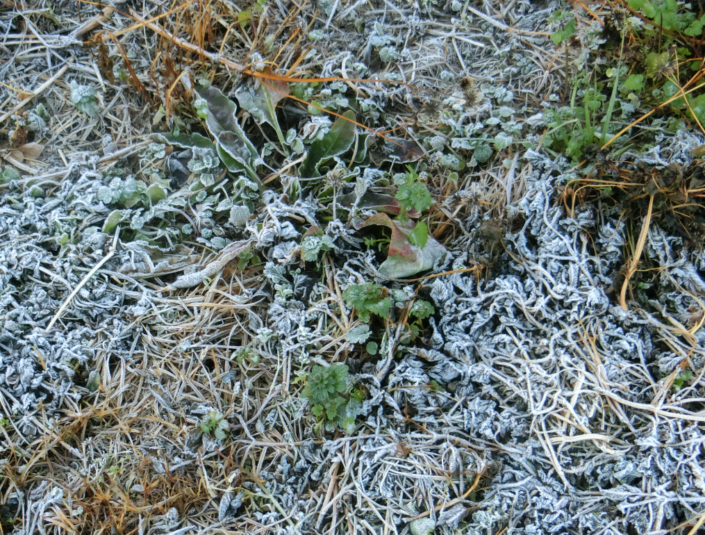 Screenshot 2025-12-15 12.44.41