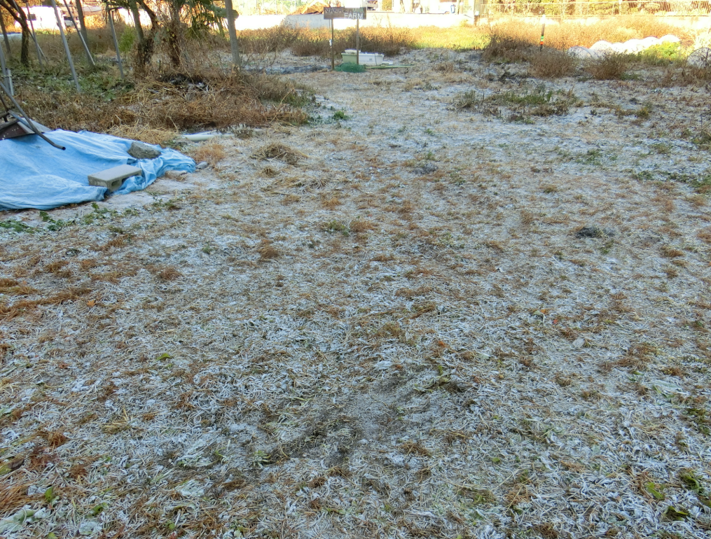 Screenshot 2025-12-15 12.45.15