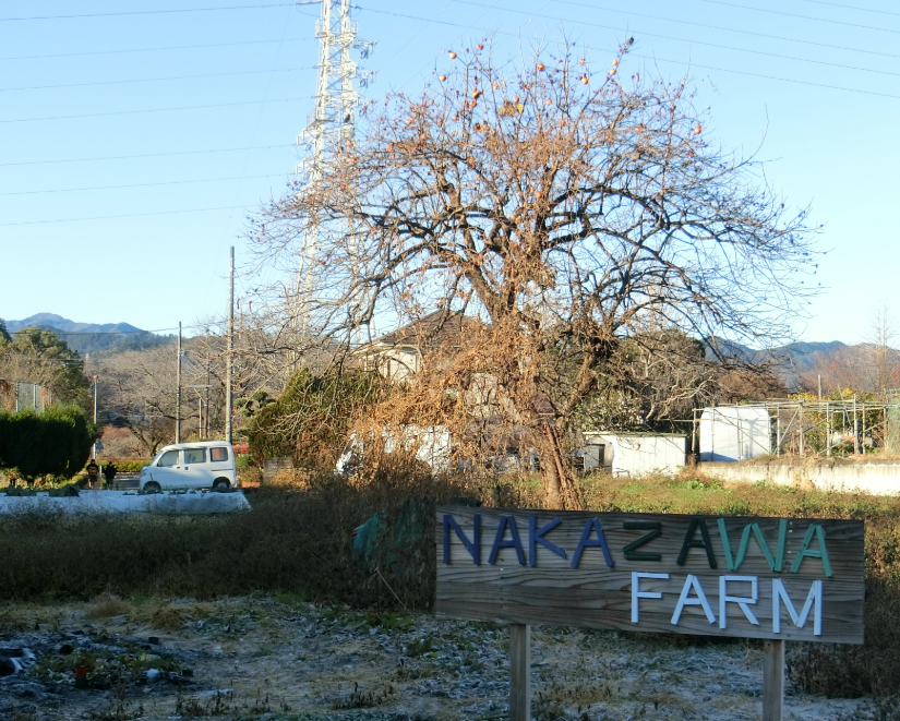 Screenshot 2025-12-15 12.45.51