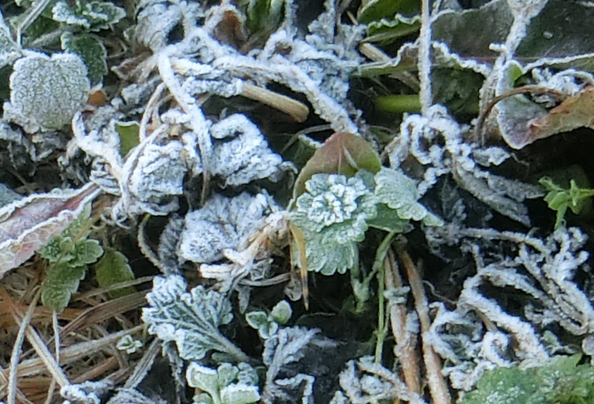 Screenshot 2025-12-15 12.56.32