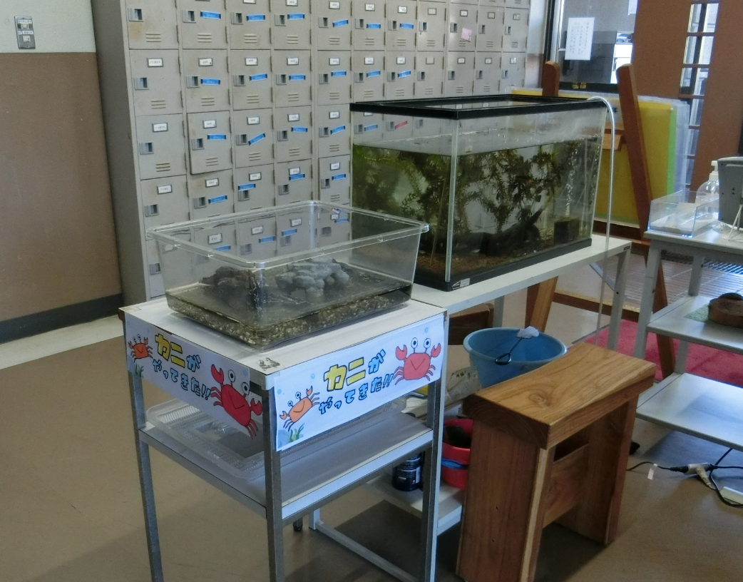 Screenshot 2025-12-22 13.33.53