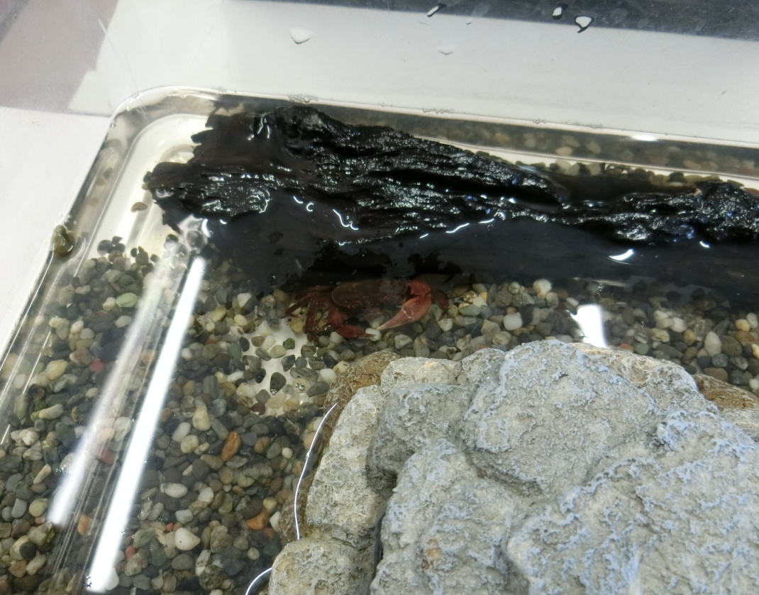 Screenshot 2025-12-22 13.35.24