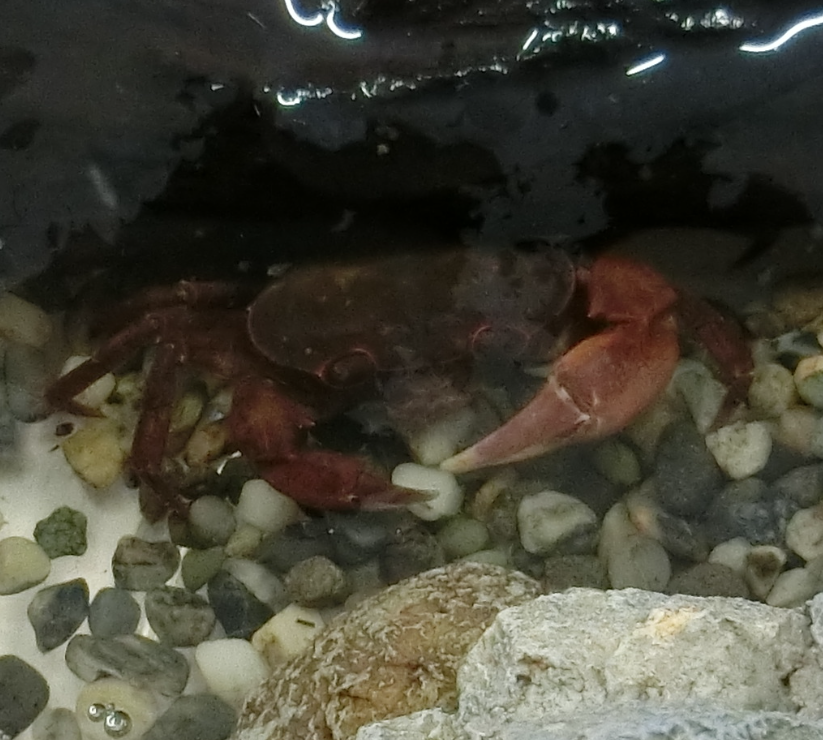 Screenshot 2025-12-22 13.35.45