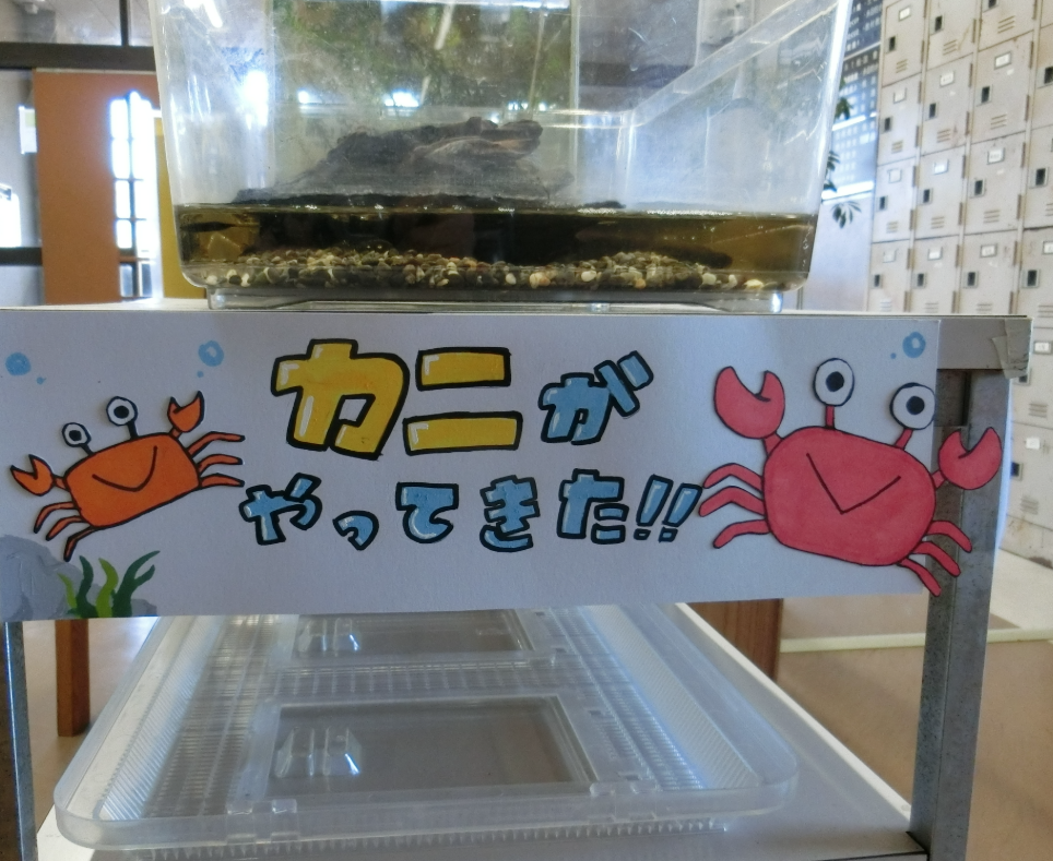 Screenshot 2025-12-22 13.36.28