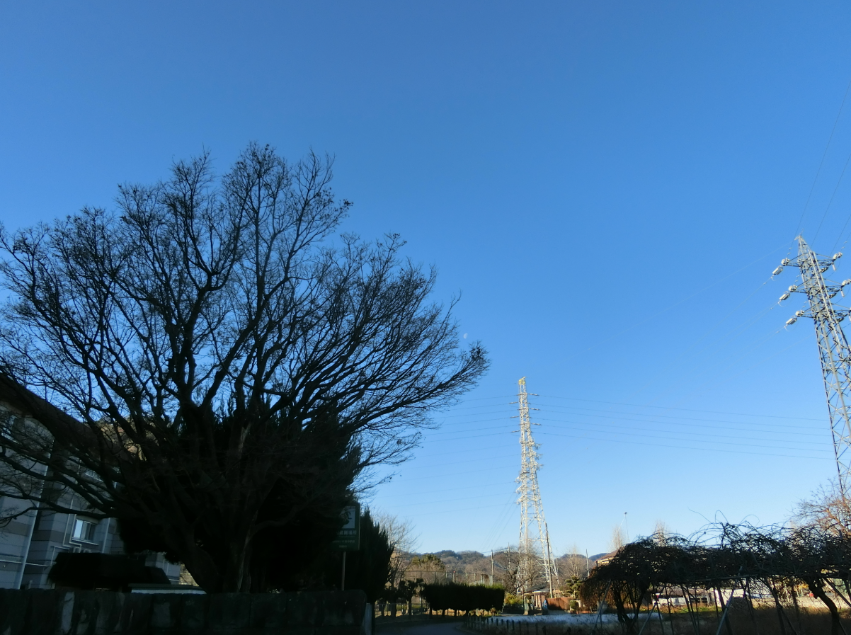 Screenshot 2026-01-09 09.11.59