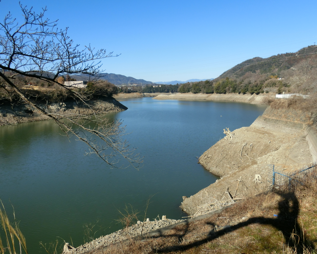 Screenshot 2026-02-03 11.01.34