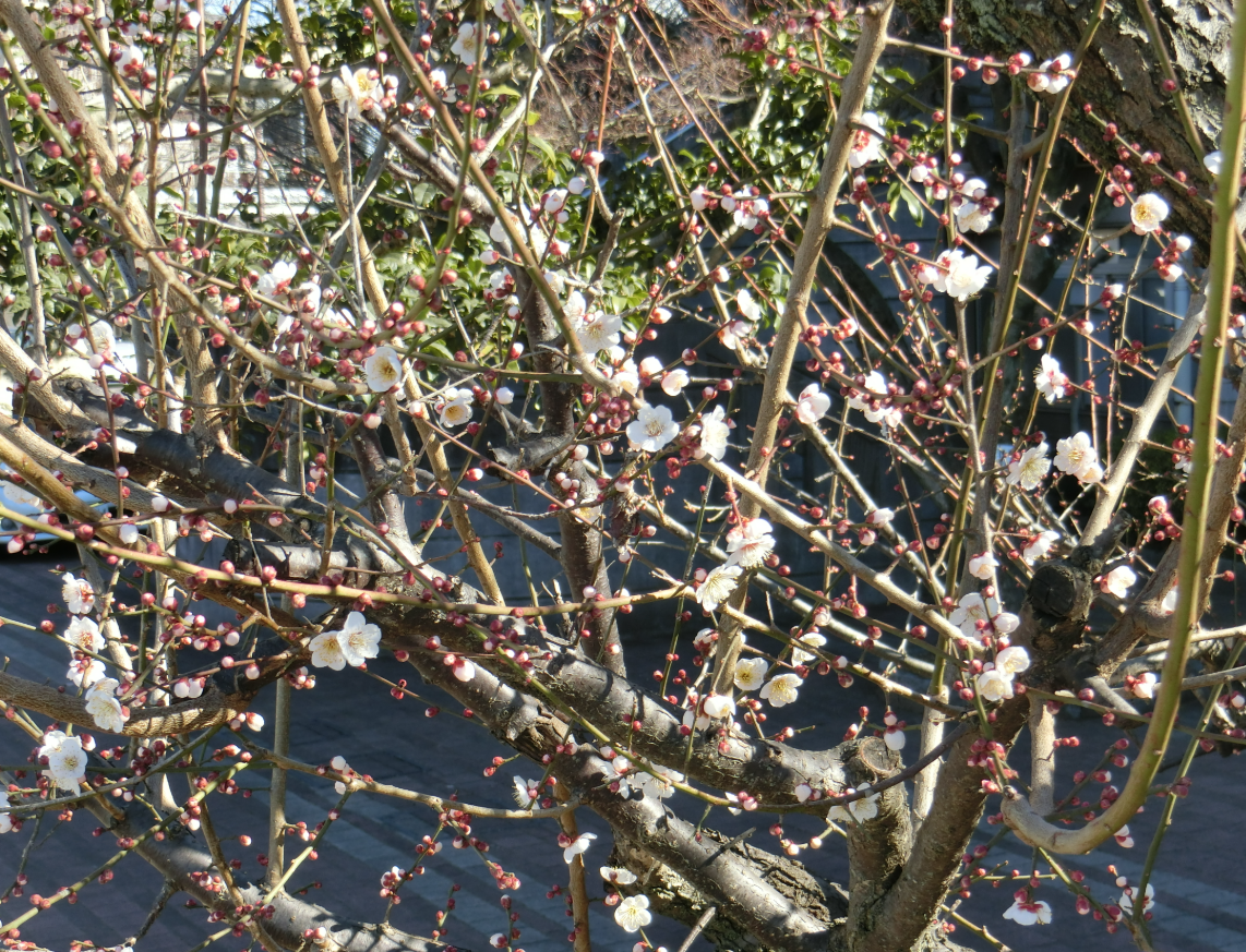 Screenshot 2026-02-03 14.43.22