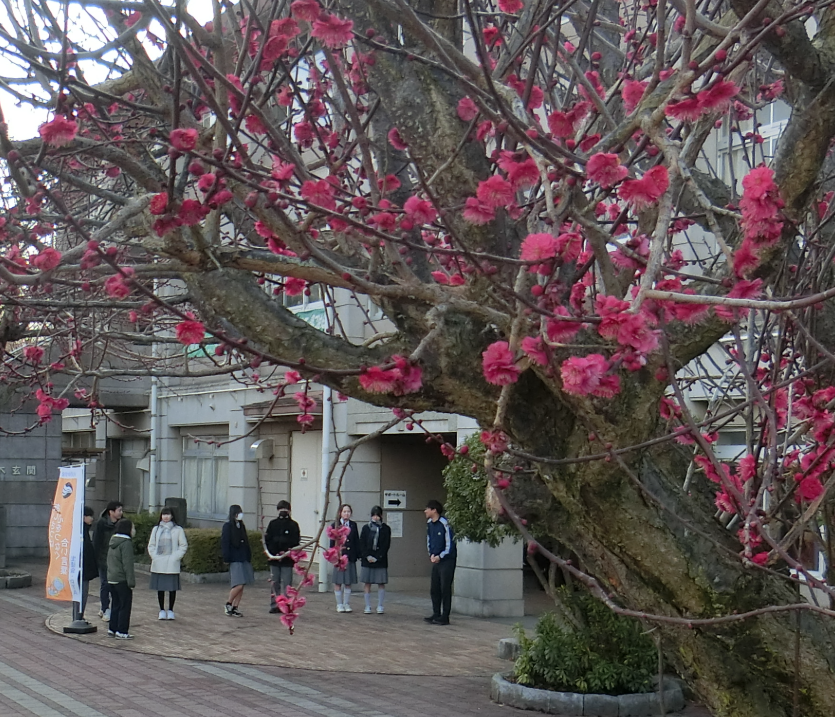 Screenshot 2026-02-18 08.45.07