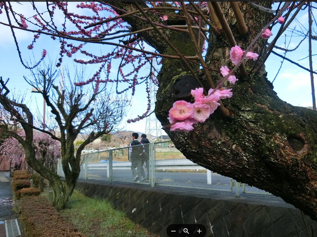 Screenshot 2026-03-04 09.01.21